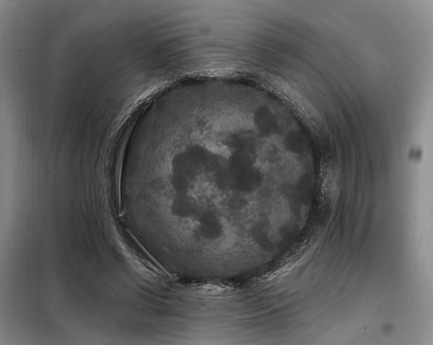 X0000098150542200804171615