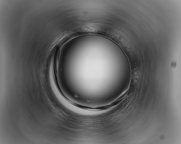 X0000098150544200804171615