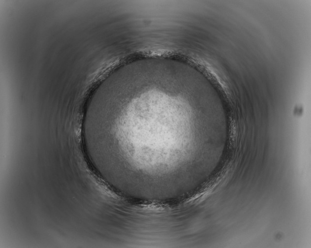 X0000098150545200804171615