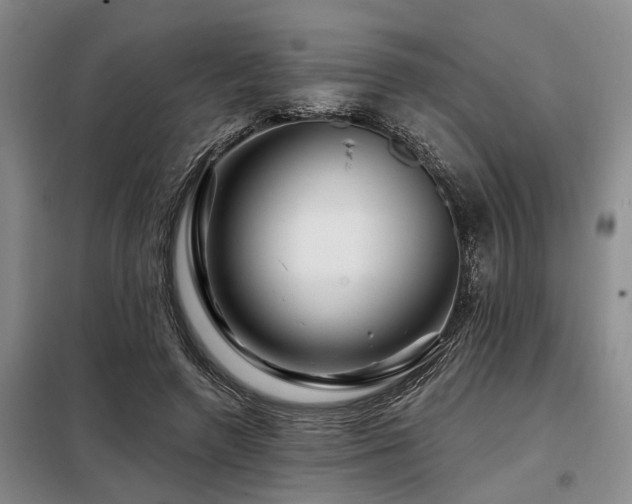X0000098150546200804171615