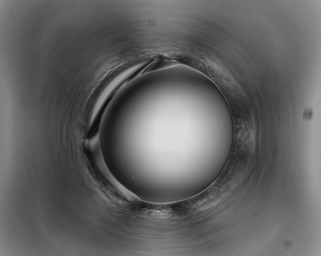 X0000098150548200804171615