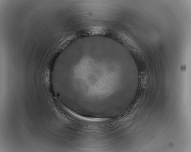 X0000098150550200804171615