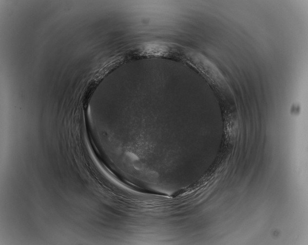 X0000098150551200804171615