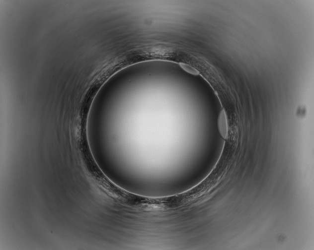 X0000098150552200804171615