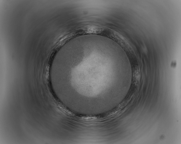 X0000098150554200804171615