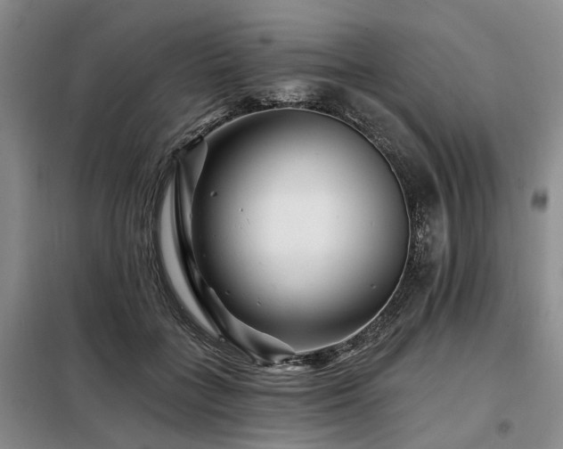X0000098150555200804171615