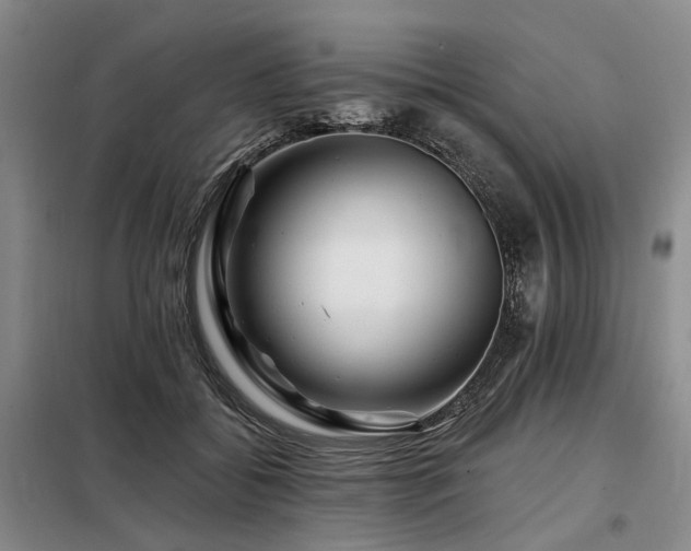X0000098150556200804171615