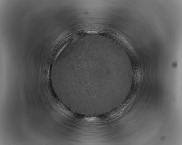 X0000098150557200804171615