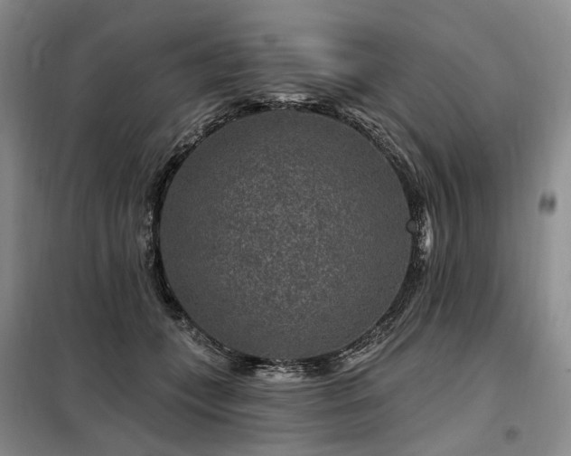 X0000098150559200804171615