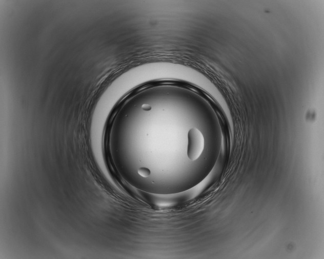 X0000098150560200804171615