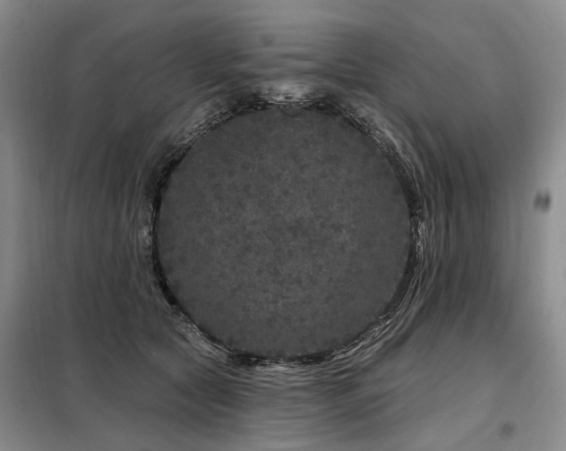 X0000098150561200804171615