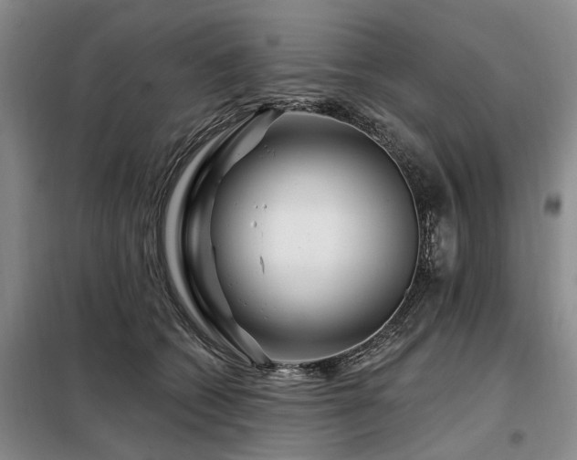 X0000098150562200804171615