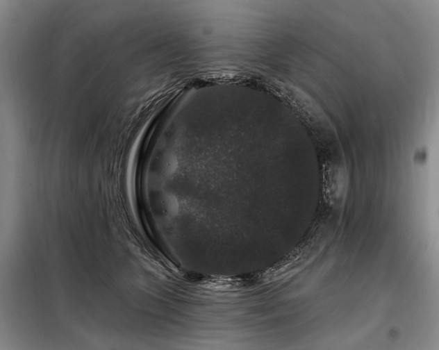 X0000098150563200804171615