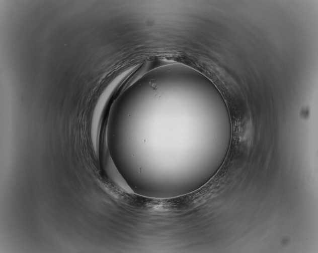 X0000098150564200804171615