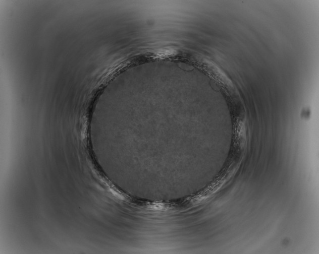 X0000098150565200804171615