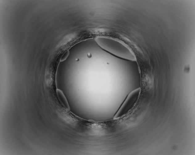 X0000098150566200804171615