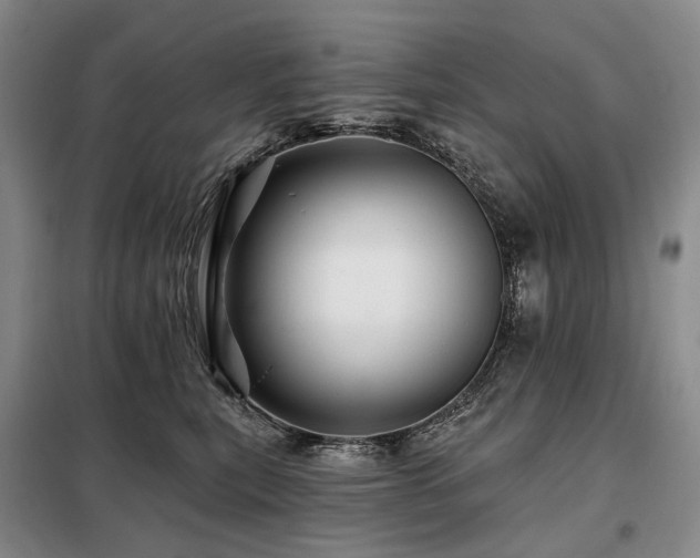 X0000098150567200804171615