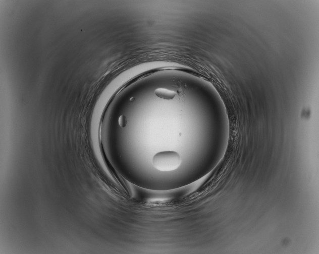 X0000098150568200804171615
