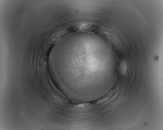 X0000098150571200804171615