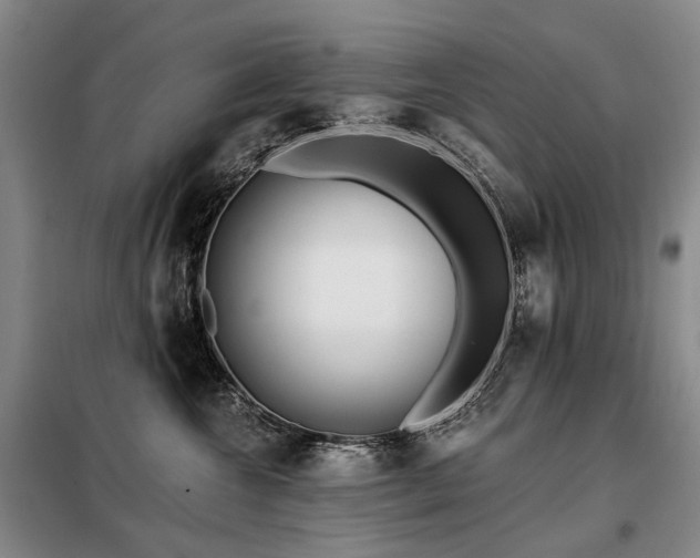 X0000098150572200804171615