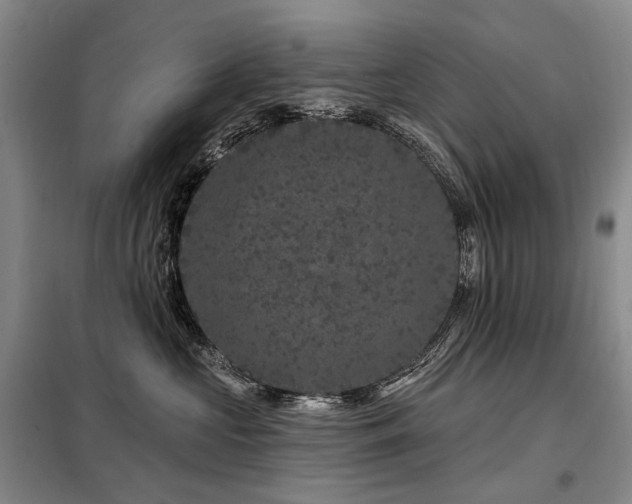 X0000098150573200804171615