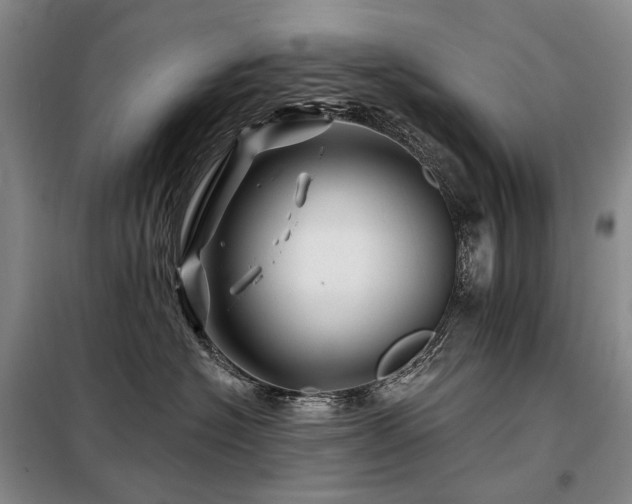 X0000098150574200804171615