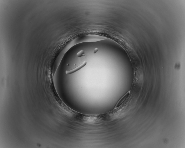 X0000098150575200804171616