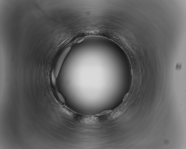 X0000098150576200804171616