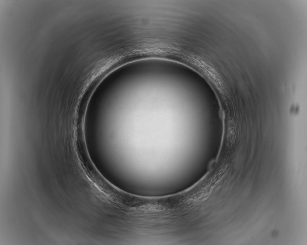 X0000098150578200804171615