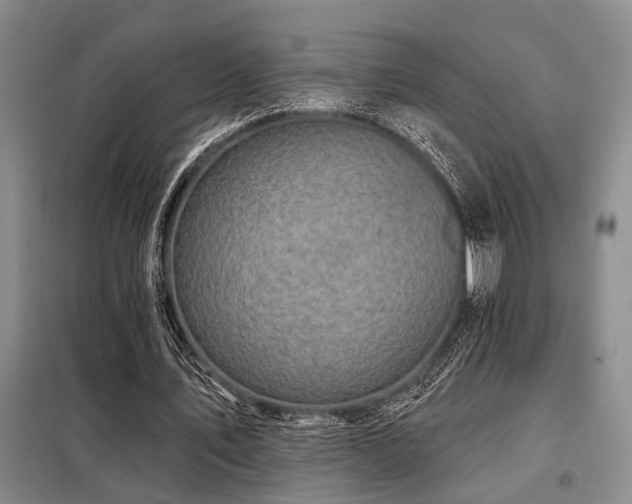 X0000098150579200804171615