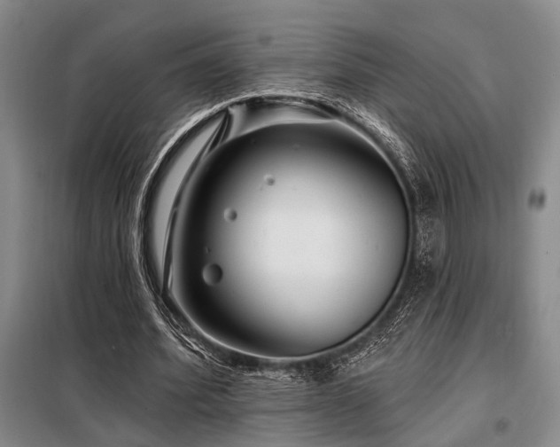 X0000098150580200804171615