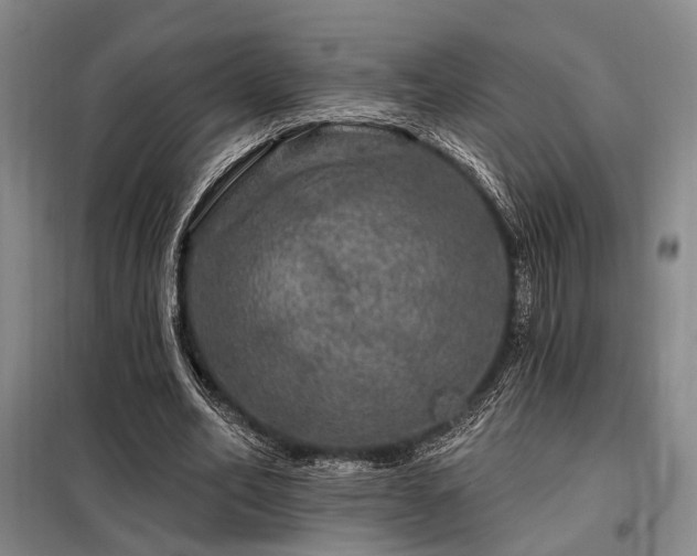 X0000098150582200804171615