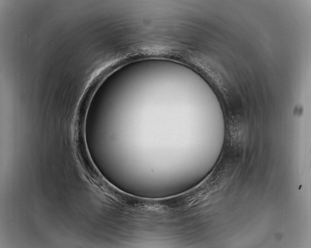 X0000098150583200804171615