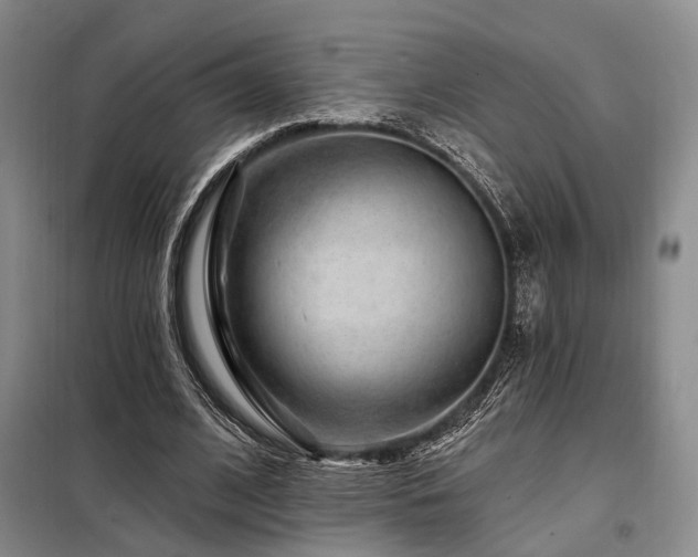X0000098150584200804171615