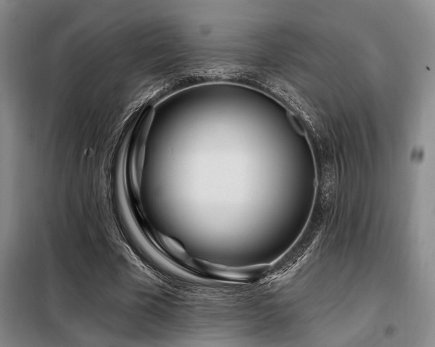 X0000098150585200804171615