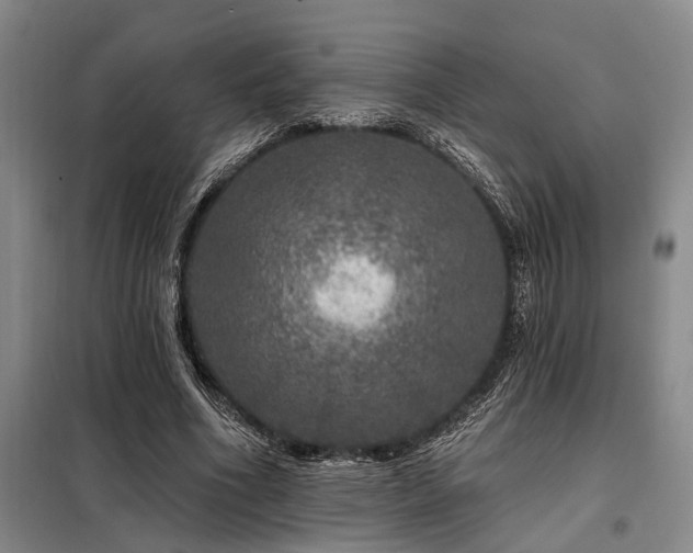 X0000098150586200804171615