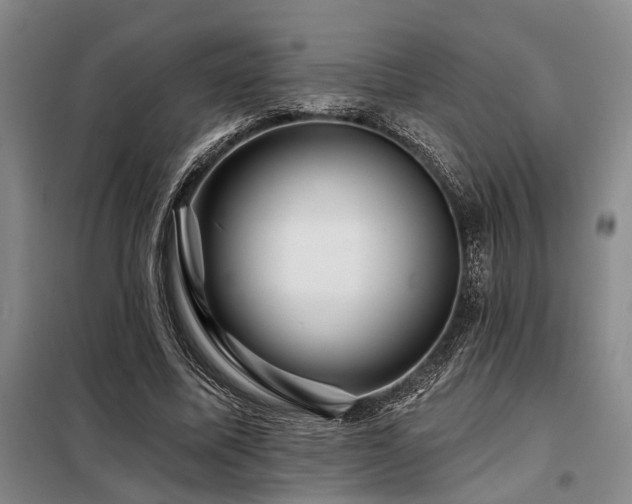 X0000098150587200804171615