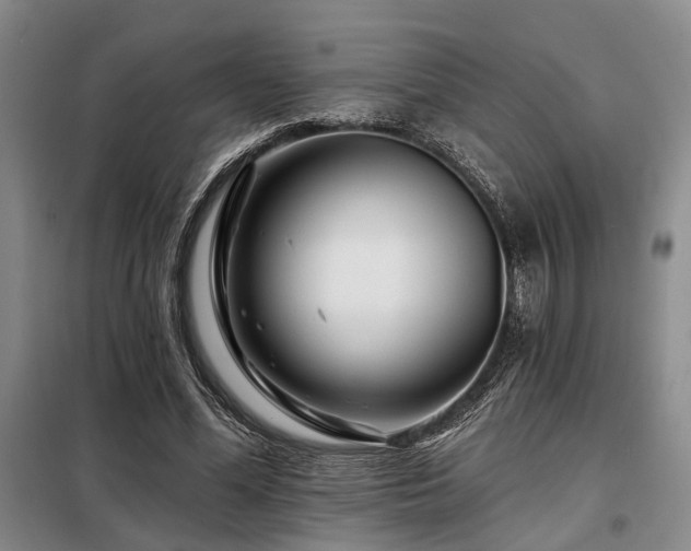 X0000098150588200804171615