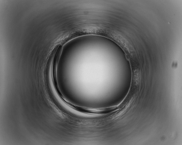 X0000098150589200804171615