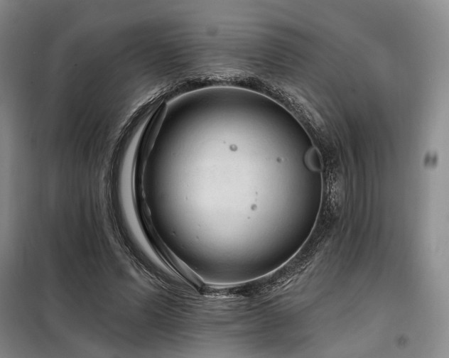 X0000098150591200804171615
