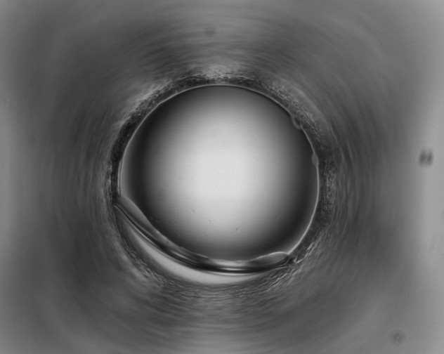 X0000098150592200804171615
