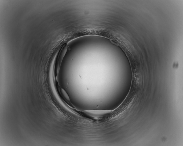 X0000098150593200804171615
