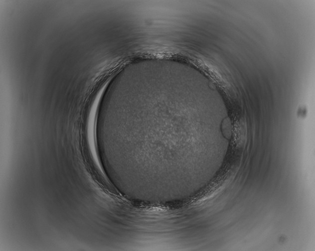 X0000098150594200804171615