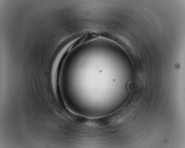 X0000098150596200804171615