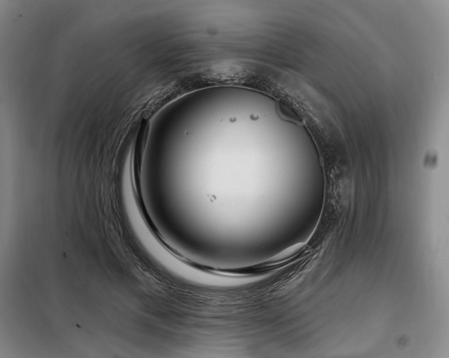 X0000098150597200804171615