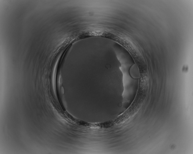 X0000098150598200804171615