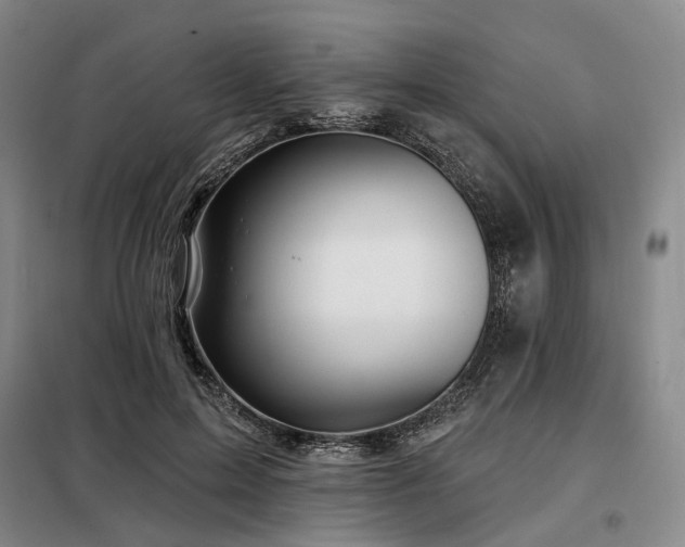 X0000098150599200804171615