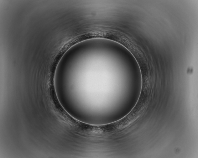 X0000098150600200804171615