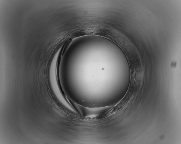 X0000098150601200804171615
