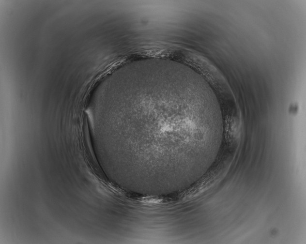 X0000098150602200804171615